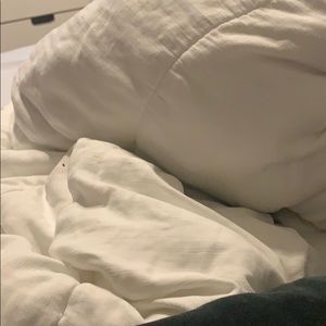 Meet your Posher, Amilcar gonzalez